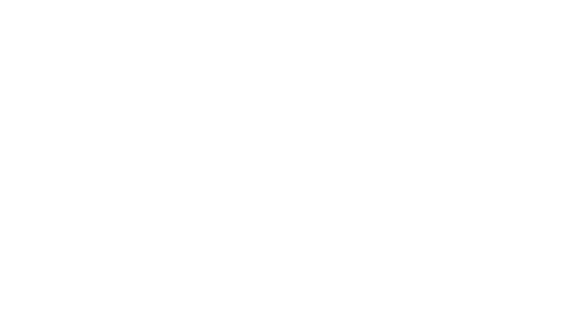 FLYALS Professional Staff Banner