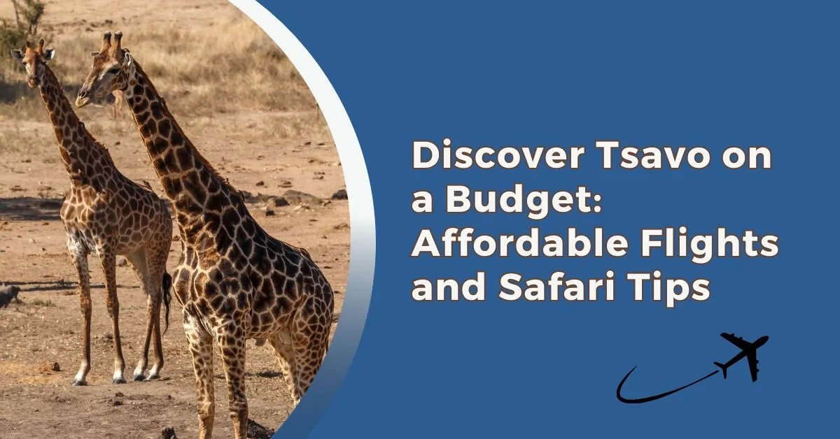 tsavo-budget-safari-tips-flights